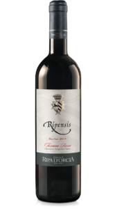 Fattoria di Ripa d'Orcia - Ripensis