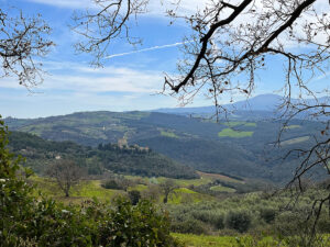 Il Castello di Ripa d'Orcia e le vigne