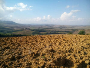 La terra lavorata